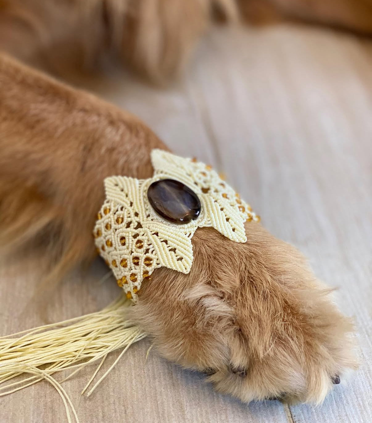 Golden Soul Bracelet